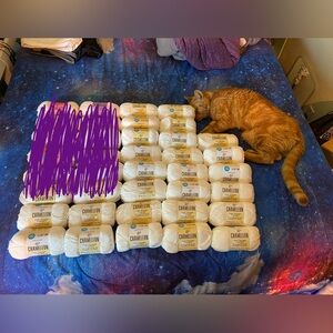 Premier Chameleon Yarn White to Yellow